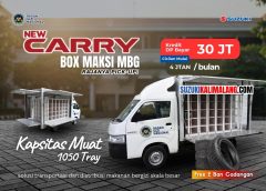 Carry Box MBG